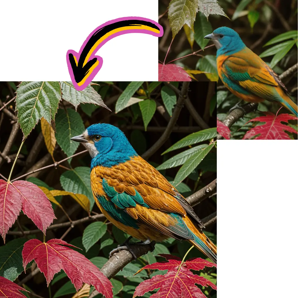 Améliorateur d'Images